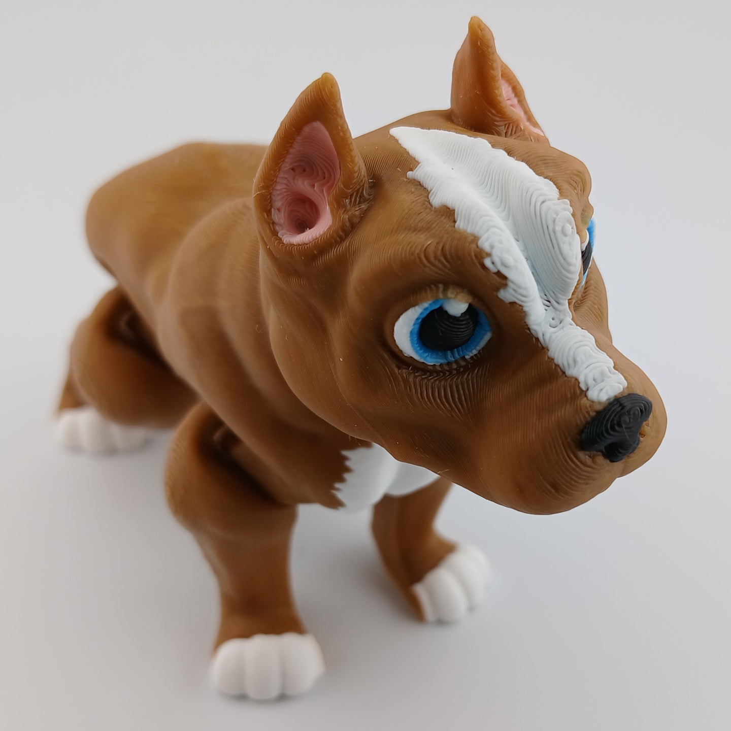 Pitbull